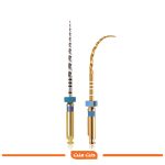 فایل روتاری 21 میلیمتری دنتسپلی Dentsply Protaper Gold Rotary Files 21mm - تصویر 3