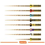 فایل روتاری 31 میلیمتری دنتسپلی Dentsply Protaper Gold Rotary Files 31mm - تصویر 2