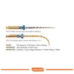 فایل روتاری 31 میلیمتری دنتسپلی Dentsply Protaper Gold Rotary Files 31mm - تصویر 3