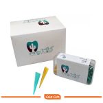 وج چوبی کاکتوس